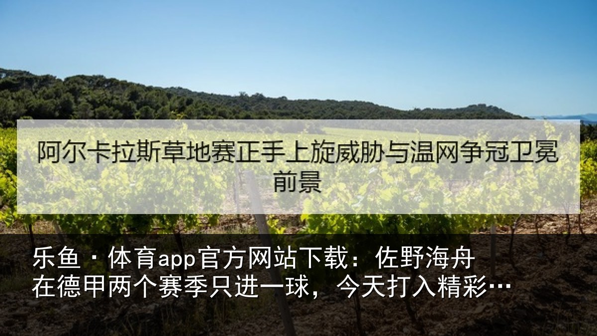 乐鱼·体育app官方网站下载：佐野海舟在德甲两个赛季只进一球，今天打入精彩一条龙